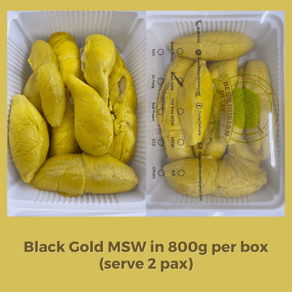 Black Gold Durian