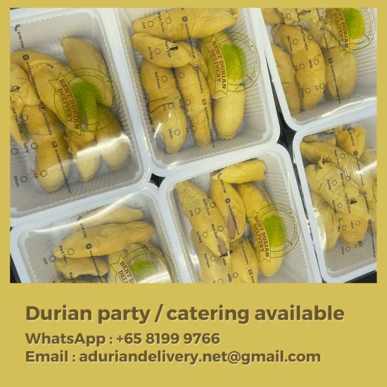 durian puree