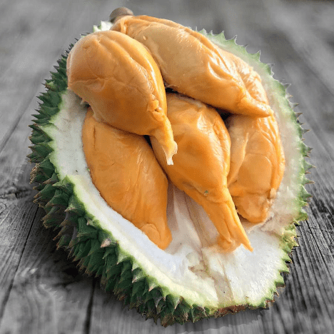d13 red prawn durian