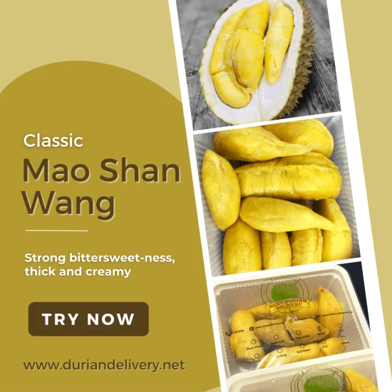 mao shan wang, mao shan wang durian