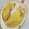 Tekka Durian (Bamboo)