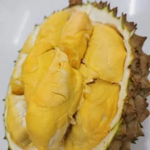 Butter King Durian ($14/kg)