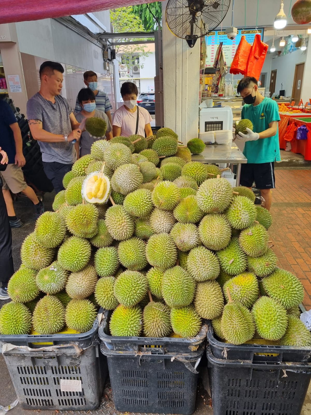 durian varieties,exotic fruits