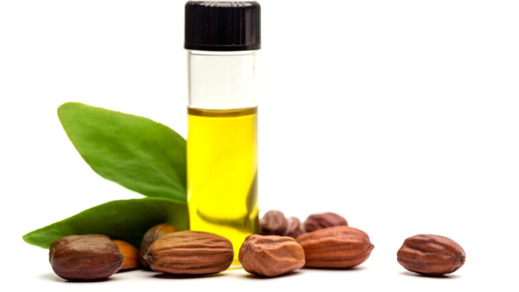 Durian Seed oil