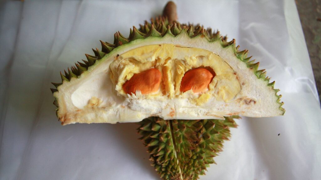 Durian Delivery