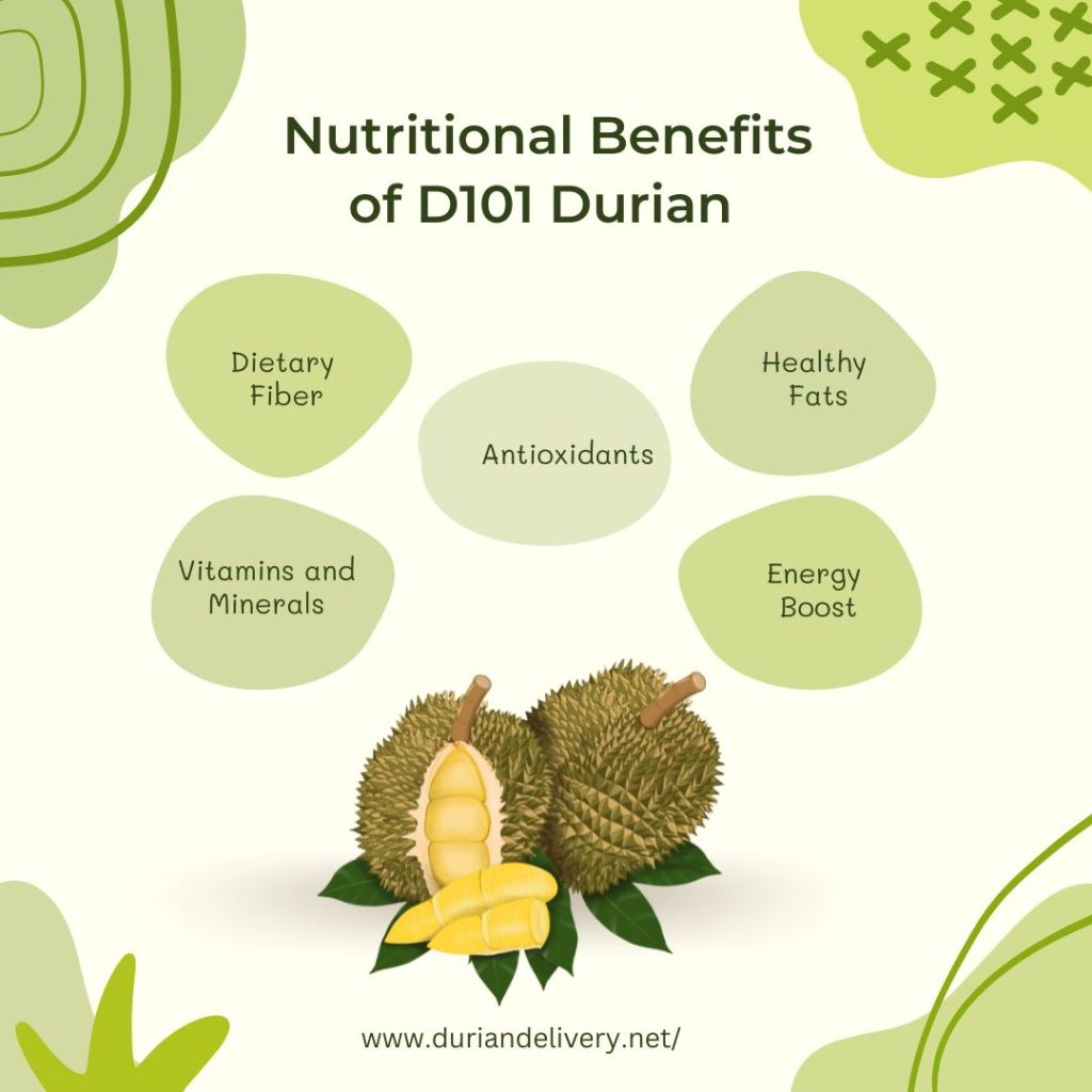  D101 Durian