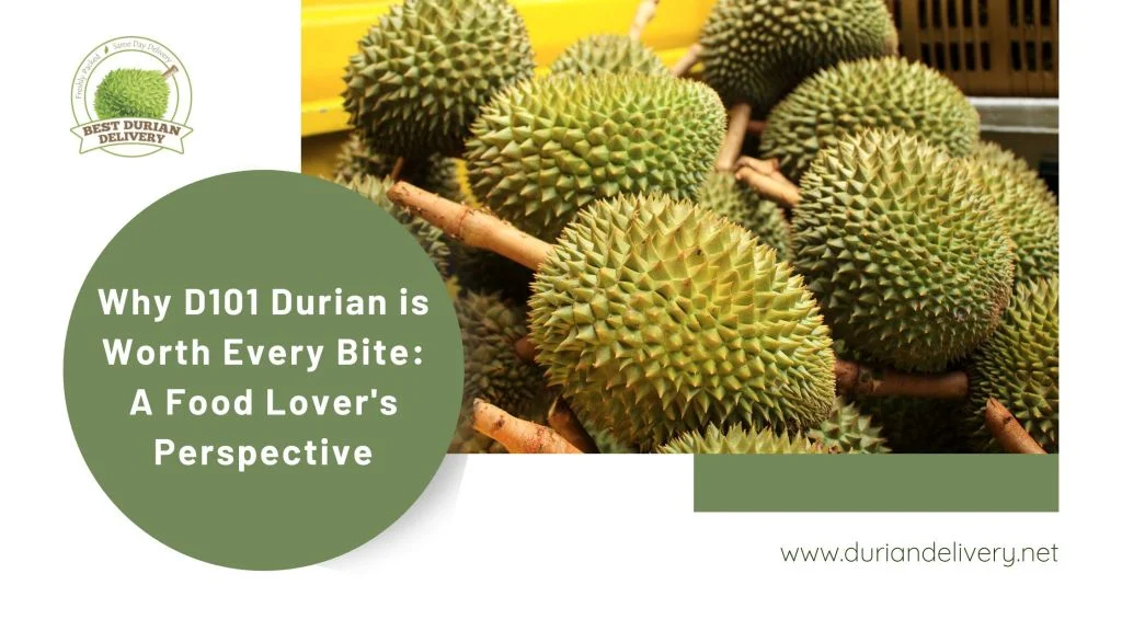  D101 Durian