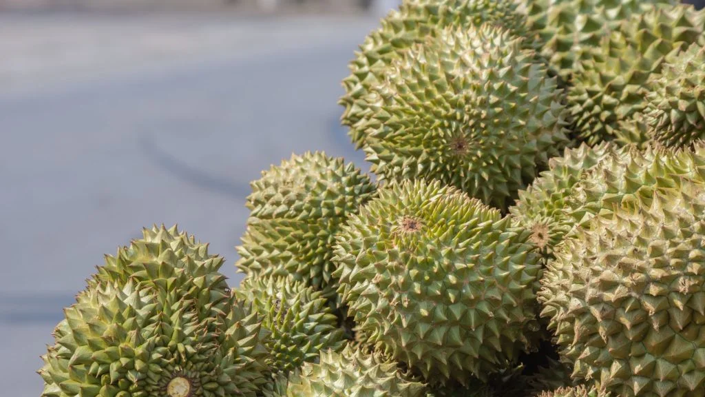 Durian Etiquette Dos and Don'ts of Eating Durian in Public