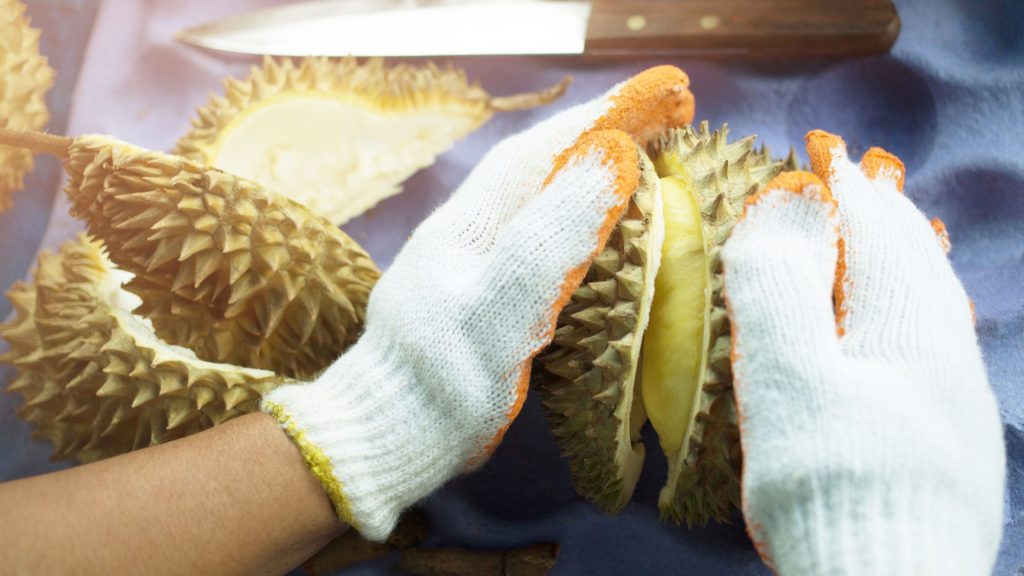 durian delivery