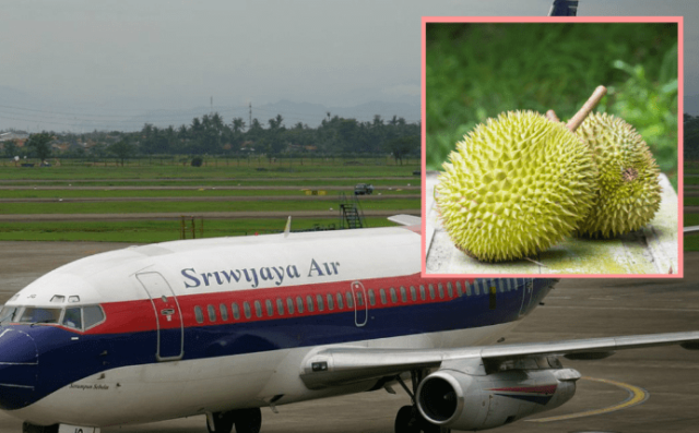 Read more about the article Vacuum Packed Durian in Singapore: The 3 Top Choice for Travellers