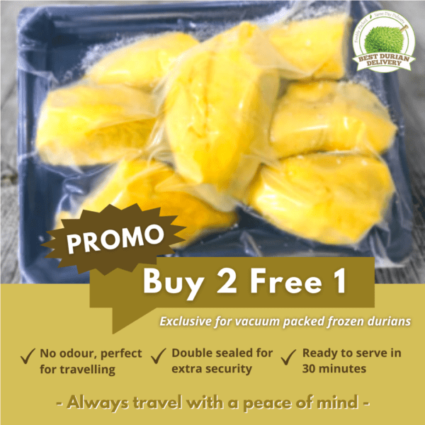 Choose Vacuum Packed Durians For Travelling