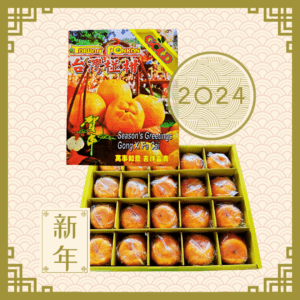 Taiwan Premium Ponkan (20pcs/box)