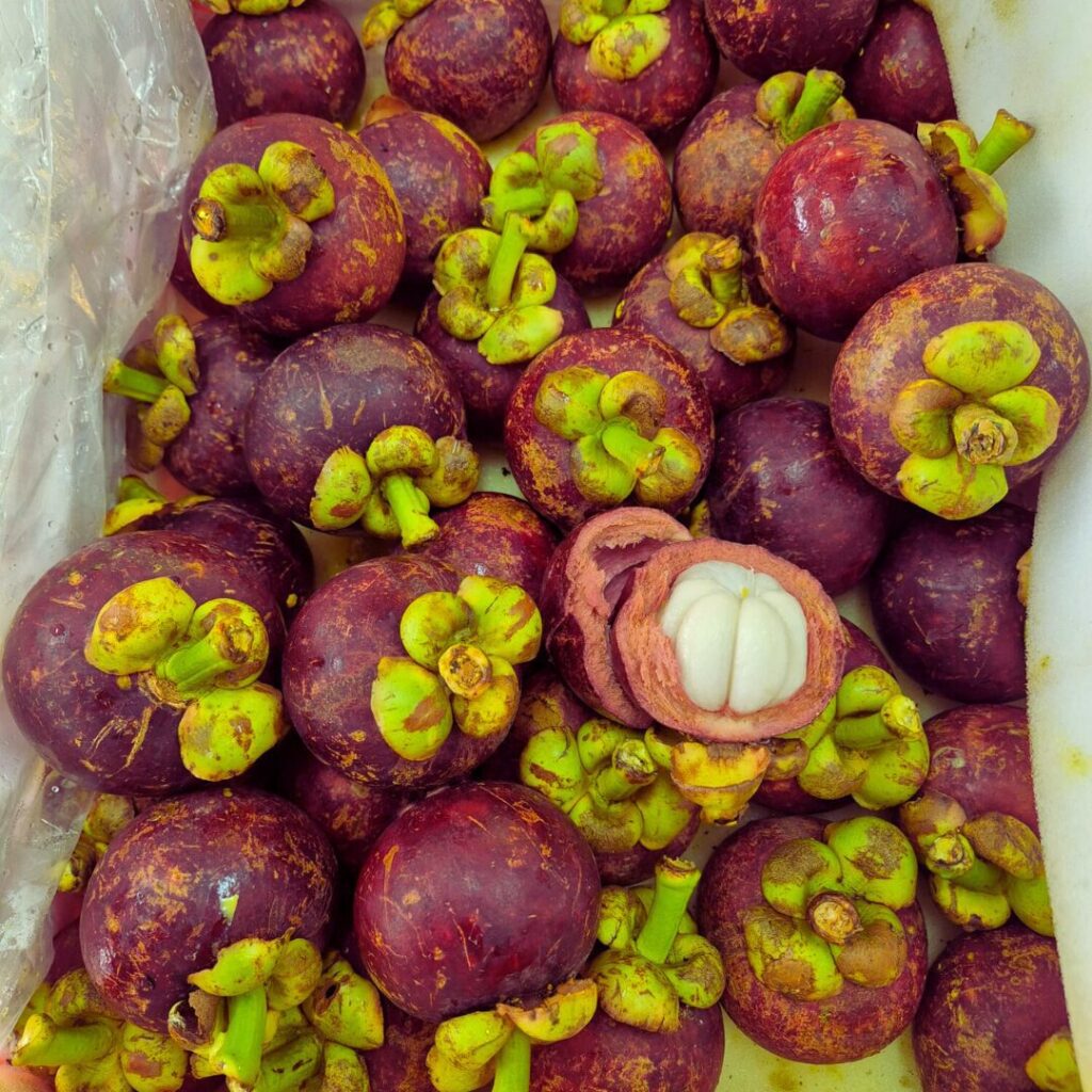 indonesia premium mangosteen